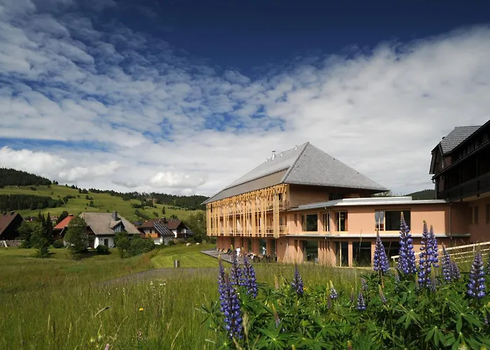 Natur & Wellnesshotel Breggers Schwanen - Bernau Im Schwarzwald